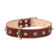 Нашийник "CoLLaR" подвійний з шипами (ширина 35мм, довжина 48-63см) коричневий