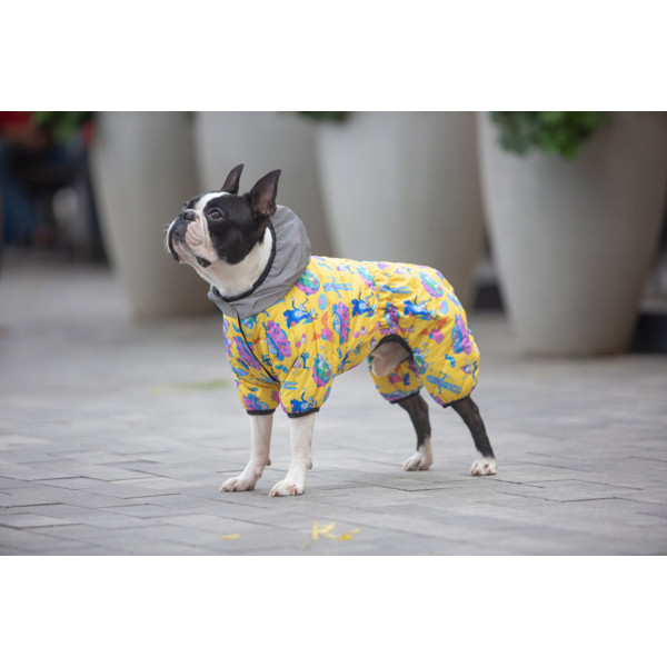 Комбінезон для собак WAUDOG Clothes малюнок "Рік та Морті 3", S30, В 57-59 см, С 40-43 см