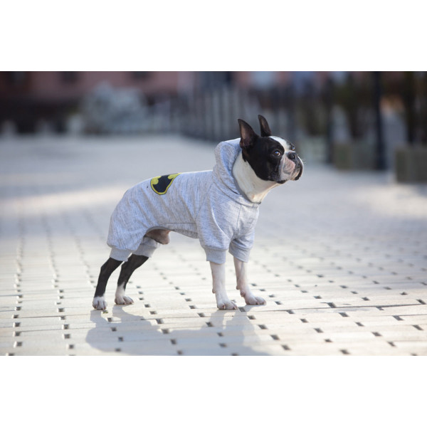 Комбінезон для собак WAUDOG Clothes малюнок "Бетмен лого", софтшелл, XS22, B 25-29 см, С 16-19 см