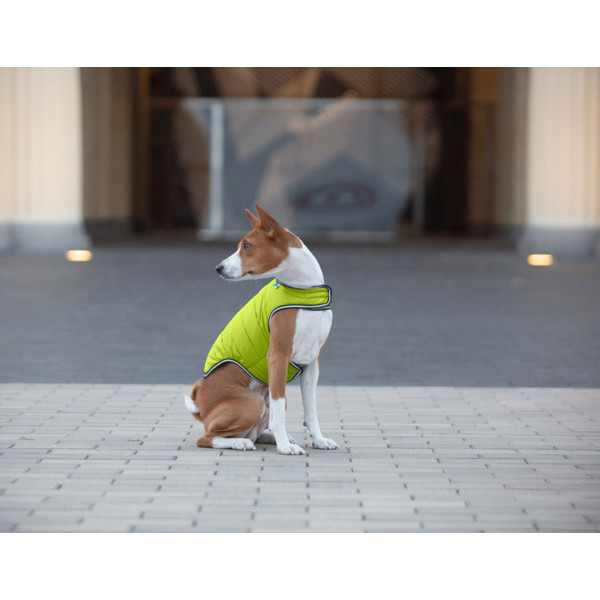 Куртка-накидка для собак AiryVest, XL, B 68-80 см, С 42-52 см салатовий