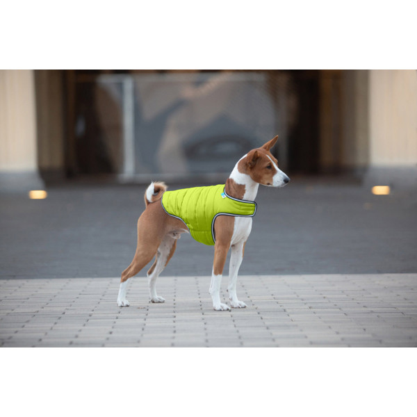Куртка-накидка для собак AiryVest, XL, B 68-80 см, С 42-52 см салатовий
