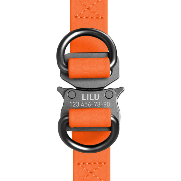 Шлея для собак водостійка WAUDOG Waterproof, з QR-паспортом, металева пряжка-фастекс, XS, Ш 15 мм, Д 30-39 см помаранчевий