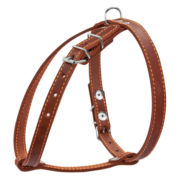 Шлей "CoLLaR" одинарная для малых пород собак (ширина 14мм, А:40-48см, В:43-51см) коричневый