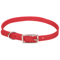 Coastal Nylon Web КОСТАЛ НАЙЛОН ВЕБ нашийник для собак,1х30см , Червоний см.