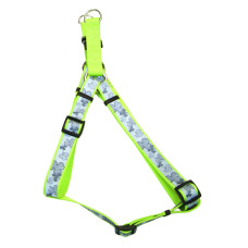 Coastal Lazer Brite КОСТАЛ ЛАЗЕР БРАЙТ світловідбивна шлея для собак, 1.6х48-66см , Конюшина см.