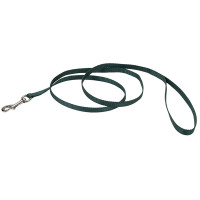 Coastal Nylon Leash КОСТАЛ НАЙЛОН повідець для собак, 1смХ1.2м , Хакі см.