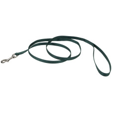 Coastal Nylon Leash КОСТАЛ НАЙЛОН повідець для собак, 1смХ1.2м , Хакі см.