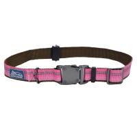 Coastal K9 Explorer Collar КОСТАЛ К9 ЭКСПЛОРЕР световозвращающий ошейник для собак, 2.5х46-66см, Розовый см., 2,5x46-66 см см. Coastal K9 Explorer Collar