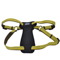 Coastal K9 Explorer Harness КОСТАЛ К9 ЕКСПЛОРЕР світловідбивна шлея з нагрудником для собак 20.4-45.3кг , Золотарник см., 2,5 х 66-96,5 см см., для собак 20,4-45,3 кг см.