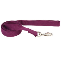 Coastal New Earth Soy Dog Leash КОСТАЛ СОЕВЫЙ ЭКОПОВЕДИТЕЛЬ для собак , Фиолетовый см., 2,5см х 1,83м см.