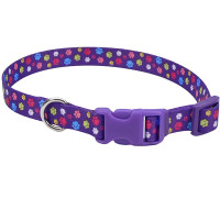 Coastal Pet Attire Styles КОСТАЛ СТАЙЛС ошейник для собак, 2.5х46-66см, Лапки см., 2,5х46-66см см.