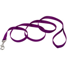 Coastal Nylon Training КОСТАЛ НАЙЛОН повідець для собак, нейлон , Пурпурний см., 2,5см x 1,8м см.