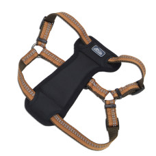 Coastal K9 Explorer Harness КОСТАЛ К9 ЕКСПЛОРЕР світловідбивна шлея з нагрудником для собак 11.3-22.6кг , Полум’я см., 2,5 х 50,8-76,2 см см., для собак 11,3-22,6 кг см.