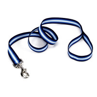 Coastal Trendz Graduated КОСТАЛ ГРАДІЄНТ повідець для собак, 1смХ1.8м , Cиній см., 1см х 1,8м см.