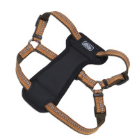 Coastal K9 Explorer Harness КОСТАЛ К9 ЭКСПЛОРЕР светоотражающая шлейка с нагрудником для собак 2.3-4.5кг, пламя см., 1,6 х 30-45 см см., для собак 2,3-4,5 кг см.