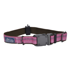 Coastal K9 Explorer Collar КОСТАЛ К9 ЕКСПЛОРЕР світловідбивний нашийник для собак, 2.5х30-46см , Рожевий см., 2,5 x 30-46 см см.