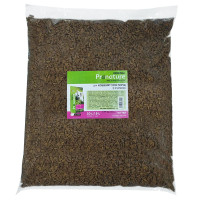 Pronature Original Kitten Chicken ПРОНАТЮР ОРИДЖИНАЛ КУРКА сухой корм для котят, 5 кг., Рефил см.