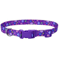 Coastal Pet Attire Styles КОСТАЛ СТАЙЛС ошейник для собак, 2х35-50см, Лапки см.