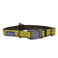 Coastal K9 Explorer Collar КОСТАЛ К9 ЭКСПЛОРЕР световозвращающий ошейник для собак, 2.5х30-46см, Золотарник см., 2,5 x 30-46 см см.