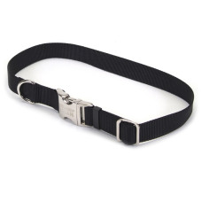 Coastal Titan Buckle КОСТАЛ ТИТАН нашийник для собак, 1.9х36-51cм , Чорний см., 1,6x50 см см.