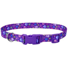 Coastal Pet Attire Styles КОСТАЛ СТАЙЛС нашийник для собак, 1х12-30см , Лапки см., 1см х 12-30см см.