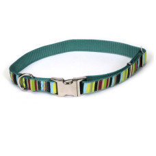 Coastal Pet Attire Ribbon КОСТАЛ РІББОН нашийник для собак, 2.5х46-66см , Мультиколор см., 2,5 х 46-66 см см.