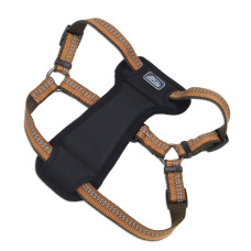 Coastal K9 Explorer Harness КОСТАЛ К9 ЕКСПЛОРЕР світловідбивна шлея з нагрудником для собак 20.4-45.3кг , Полум’я см., 2,5 х 66-96,5 см см., для собак 20,4-45,3 кг см.
