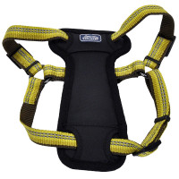 Coastal K9 Explorer Harness КОСТАЛ К9 ЭКСПЛОРЕР светоотражающая шлейка с нагрудником для собак 2.3-4.5кг, золотарник см., 1,6 х 30-45 см см., для собак 2,3-4,5 кг см.