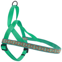 Coastal Ribbon Weave Harness КОСТАЛ РИББОН ВЕЙВ шлей для собак, Темно-бирюзовый с косточками см., L см., 2,5 - 71-91 см см. Coastal Ribbon Weave Harness