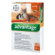 Краплі Bayer Advantage Адвантейдж 40 від заражень блохами для котів, кошенят та декоративних кроликів до 4 кг, 4 піпетки
