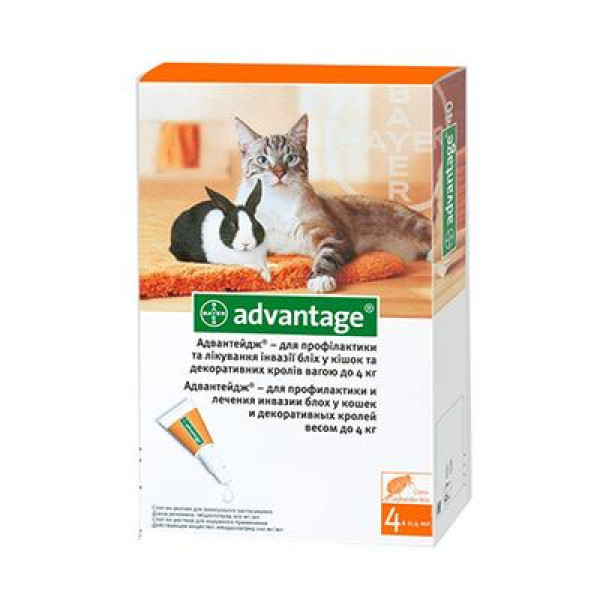 Краплі Bayer Advantage Адвантейдж 40 від заражень блохами для котів, кошенят та декоративних кроликів до 4 кг, 4 піпетки