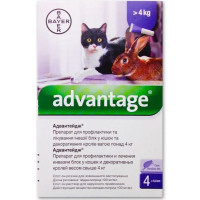 Краплі Bayer Advantage Адвантейдж 80 від заражень блохами для котів, кошенят та декоративних кроликів быльше 4 кг, 4 піпетки