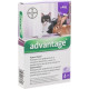 Краплі Bayer Advantage Адвантейдж 80 від заражень блохами для котів, кошенят та декоративних кроликів быльше 4 кг, 4 піпетки