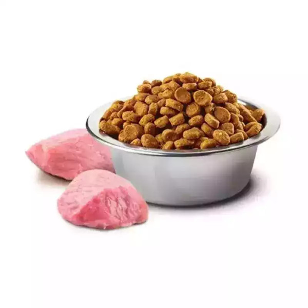 Сухий корм для собак Farmina (Фарміна) N&D Grain Free Pumpkin Lamb & Blueberry Adult Medium & Maxi з гарбузом, ягням та чорницею, 12 кг