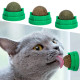 Ласощі AnimAll TastyVit Cat лизун вітамінізований з куркою, м'ятою та мататабі, для котів, 1 шт