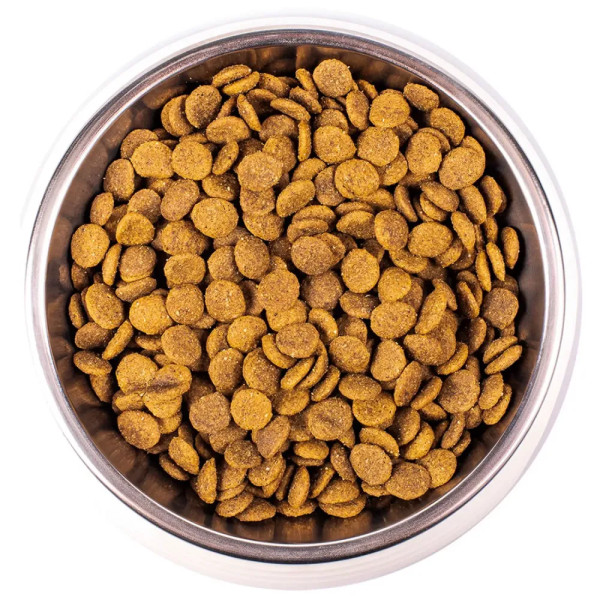 Сухий корм для котів Monge Cat Adult, 1.5 кг