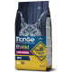 Сухий корм для котів Monge Cat Bwild Low Grain м'ясо зайця, 1.5 кг