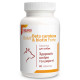 Таблетки Dolfos Dolvit Beta carotene & biotin forte Бета каротин і біотин форте вітамінно-мінеральний комплекс для шкіри та шерсті собак, 90 таб