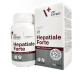 Капсули VetExpert Hepatiale Forte Small breed & cats Гепатіале Форте смол брід енд кетс підтримки функцій печінки собак дрібних порід і кішок, 40 капс