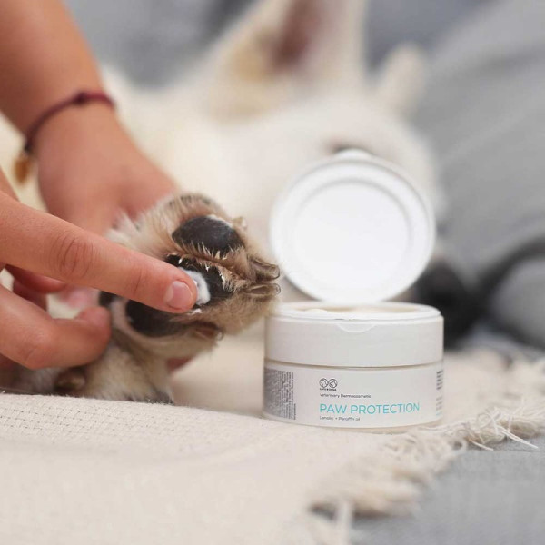 Мазь VetExpert Paw Protection Поу Протекшн для захисту подушечок лап собак та котів, 75 мл