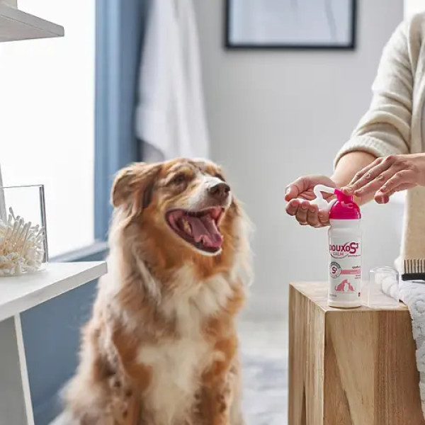 Мус Ceva Douxo S3 Calm Mousse Дуксо С3 Калм Мус для котів та собак з чутливою, сверблячою або подразненою шкірою, 150 мл